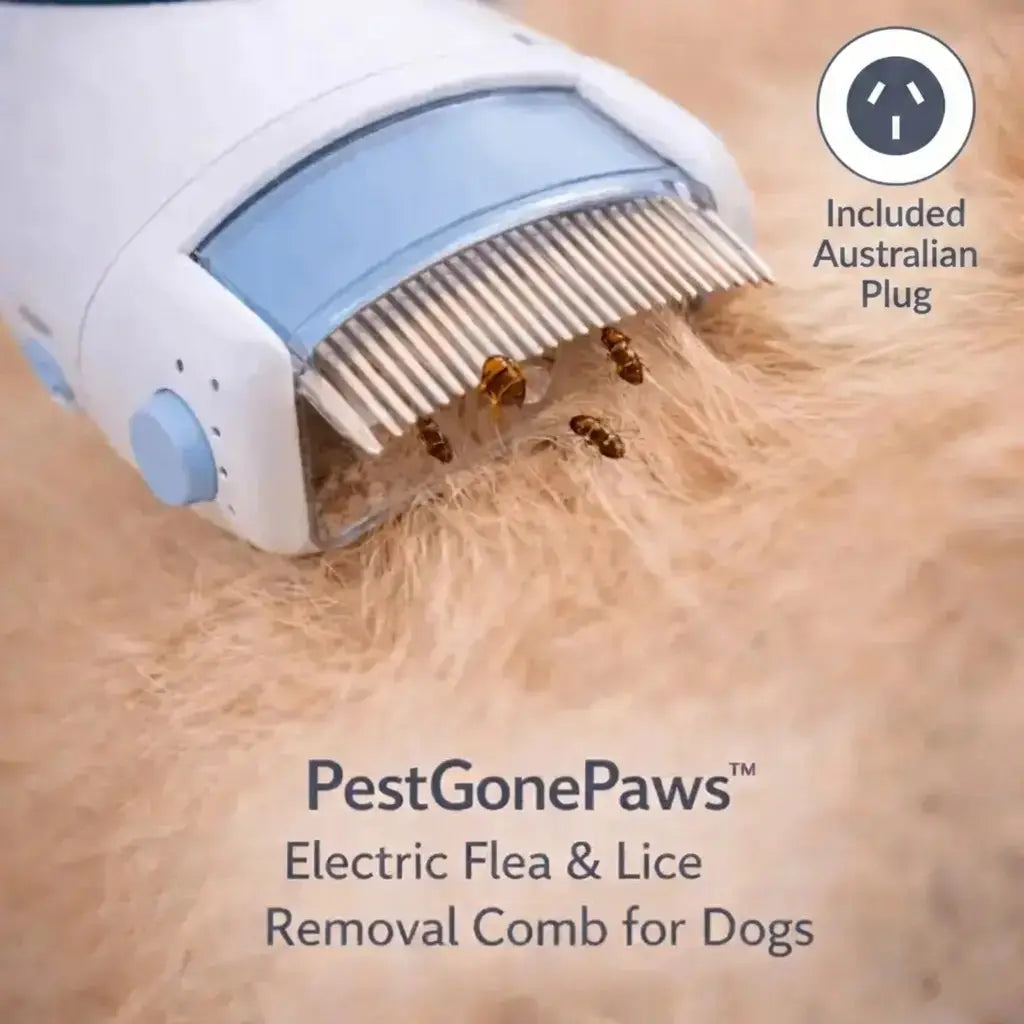 PestGonePaws™ Electric Flea & Lice Removal Comb for Dogs Hunter's Doggy Shop