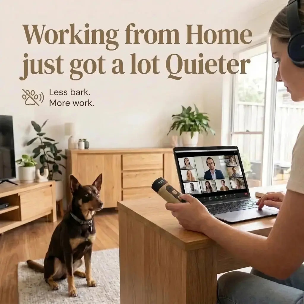 Dog Mum working on a laptop with a dog sitting nearby, text 'Working from Home just got a lot Quieter'. QuietPaws™ Gentle Bark Control in her hand