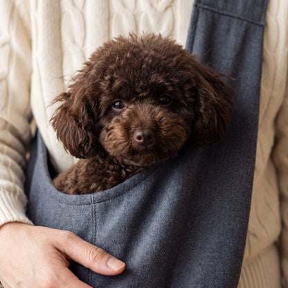 Chocolate brown toy poodle puppy peeking out of a CarryPaws Dark Grey dog sling carrier