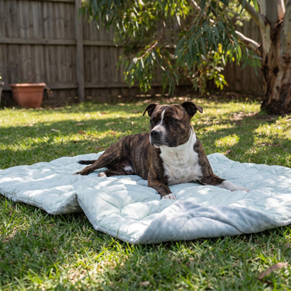 Green CoolPaws dog cooling mat on shaded lawn with a Staffordshire Bull Terrier lying on it