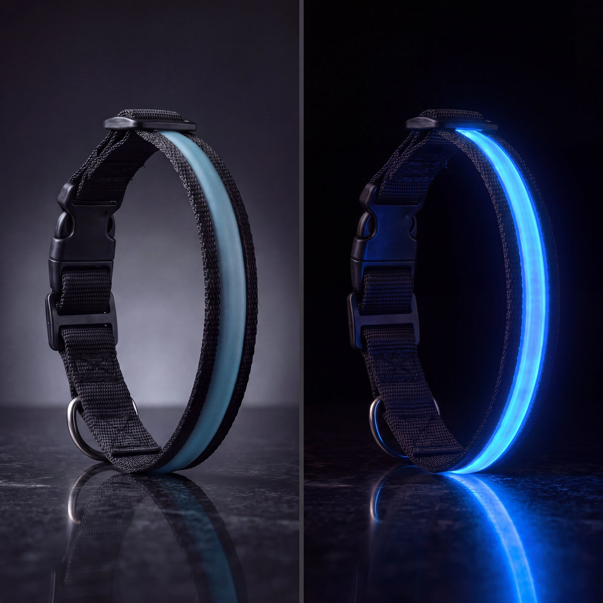 GlowCollar LED dog collar in Blue, shown unlit and glowing blue in the dark, black nylon band with buckle and D-ring