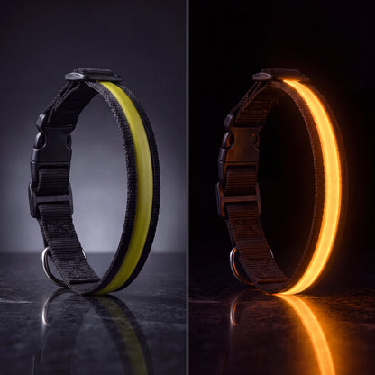 GlowCollar LED dog collar in Yellow, shown unlit and glowing golden yellow in the dark, black nylon band with buckle and D-ring