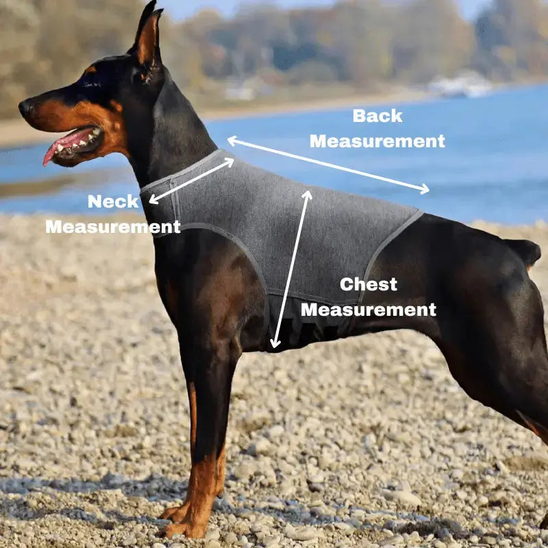Hugvest™ Calming Vest for Dogs - Best Selling Dog Products and Pet Essentials Collection Free Shipping Worldwide