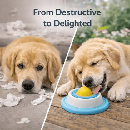 Lickipaws™ Licking Toy and Mat for Dogs - Dog Products at Hunter’s Doggy Shop Free Shipping Worldwide