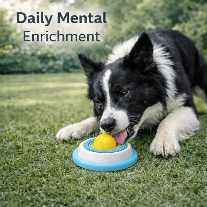 Lickipaws™ Licking Toy and Mat for Dogs - Dog Products at Hunter’s Doggy Shop Free Shipping Worldwide