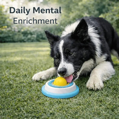 Lickipaws™ Licking Toy and Mat for Dogs - Dog Products at Hunter’s Doggy Shop Free Shipping Worldwide