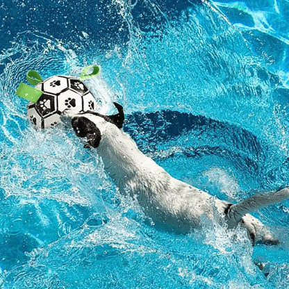 Zoomie Zoom Bundle for Joyful Dog Playtime - Products at Hunter’s Doggy Shop Free Shipping Worldwide