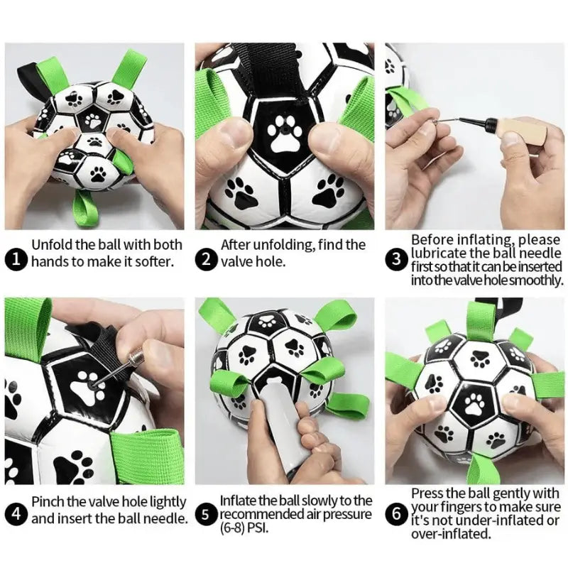 Zoomie Zoom Bundle for Joyful Dog Playtime - Products at Hunter’s Doggy Shop Free Shipping Worldwide