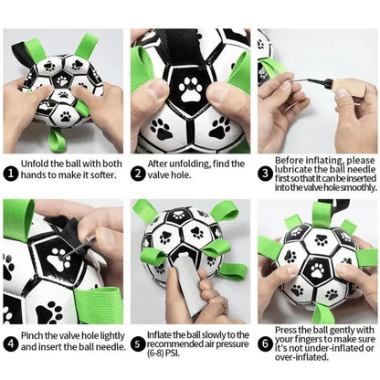 Zoomie Zoom Bundle for Joyful Dog Playtime - Products at Hunter’s Doggy Shop Free Shipping Worldwide