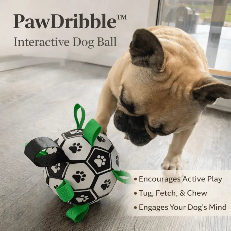 Pawdribble™ Ball for Playful Dogs - Dog Products at Hunter’s Doggy Shop Free Shipping Worldwide