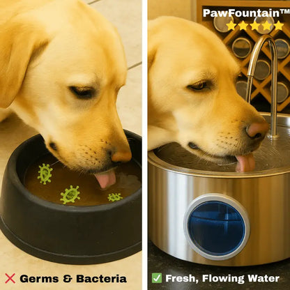 Pawfountain™ Hygienic Hydration for Dogs - Best Selling Dog Products and Pet Essentials Collection Free Shipping
