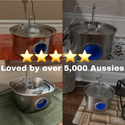 Pawfountain™ Hygienic Hydration for Dogs - Best Selling Dog Products and Pet Essentials Collection Free Shipping