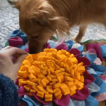 Anxiety Pet Care Bundle - Dog Products at Hunter’s Doggy Shop Free Shipping Worldwide