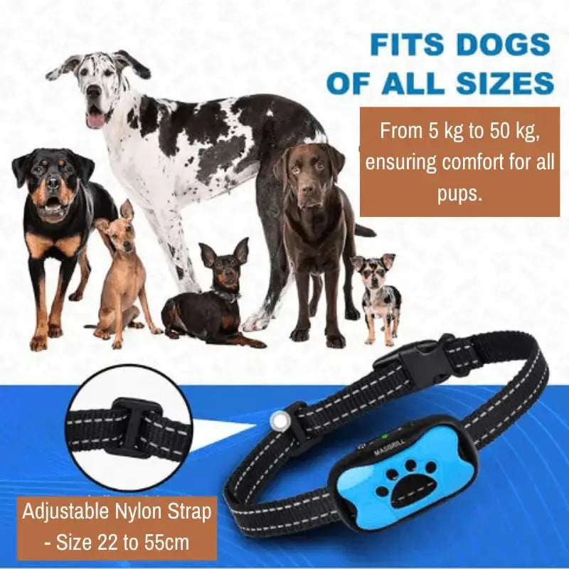 Peacefulpaws™ Calm Support Collar - Dog Products at Hunter’s Doggy Shop Free Shipping Worldwide