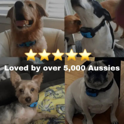 Peacefulpaws™ Calm Support Collar - Dog Products at Hunter’s Doggy Shop Free Shipping Worldwide