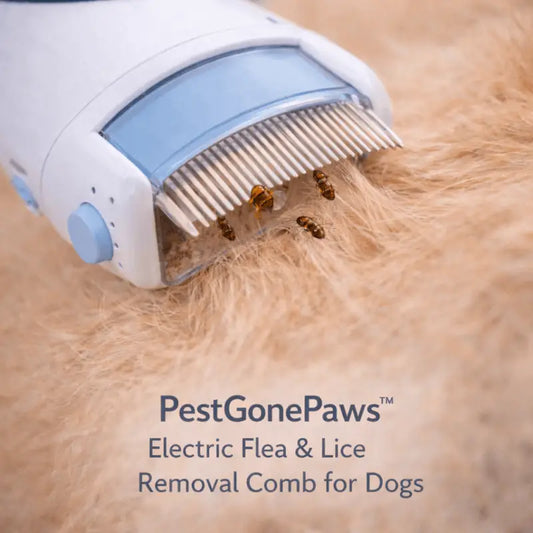 Pestgonepaws™ Electric Flea & Lice Removal Comb for Dogs - Dog Products at Hunter’s Doggy Shop Free Shipping Worldwide