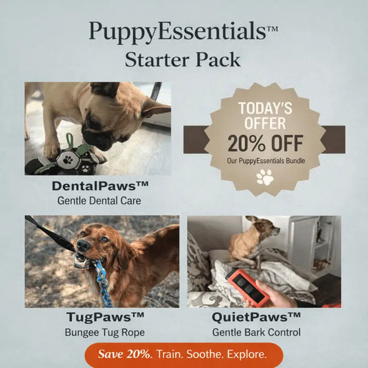 Puppyessentials™ Starter Pack - Dog Products at Hunter’s Doggy Shop Free Shipping Worldwide