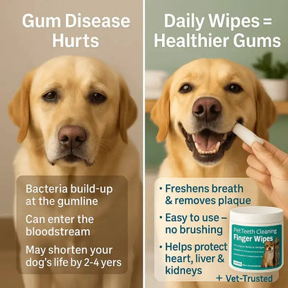 Puppyessentials™ Starter Pack - Dog Products at Hunter’s Doggy Shop Free Shipping Worldwide