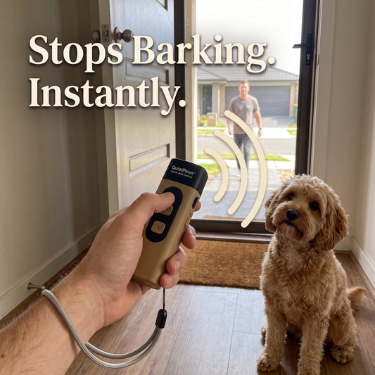 QuietPaws bark control device stopping a dog from barking as a visitor arrives at the front door