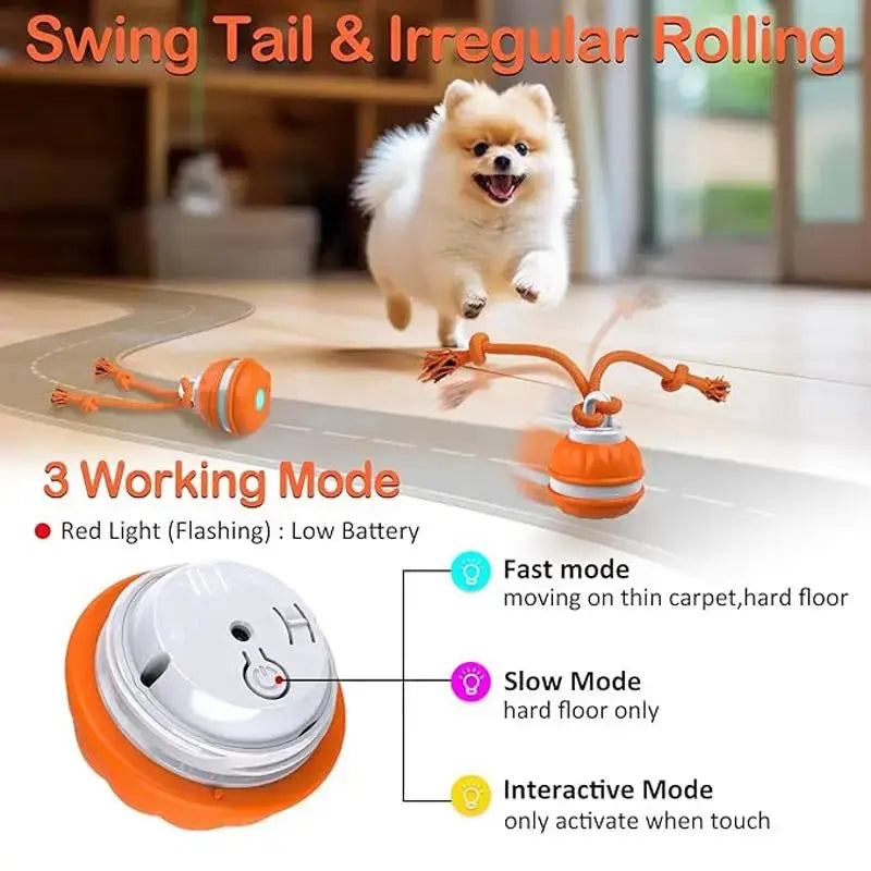 Quietpaws™ Pet Care Bundle - Dog Products at Hunter’s Doggy Shop Free Shipping Worldwide