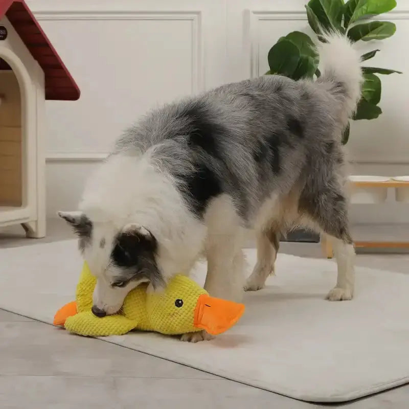 Snuggleduck™ Calming Toy for Dogs - Dog Products at Hunter’s Doggy Shop Free Shipping Worldwide