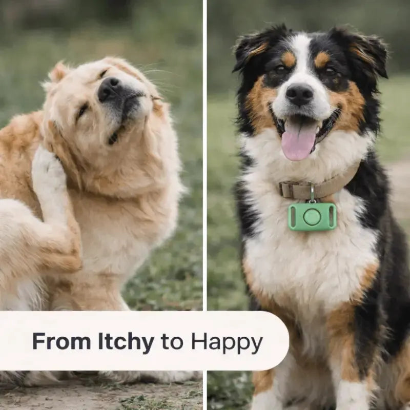 Tickguardpaws™ Refill Capsules - Dog Products at Hunter’s Doggy Shop Free Shipping Worldwide