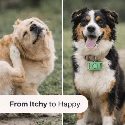 Tickguardpaws™ Refill Capsules - Dog Products at Hunter’s Doggy Shop Free Shipping Worldwide