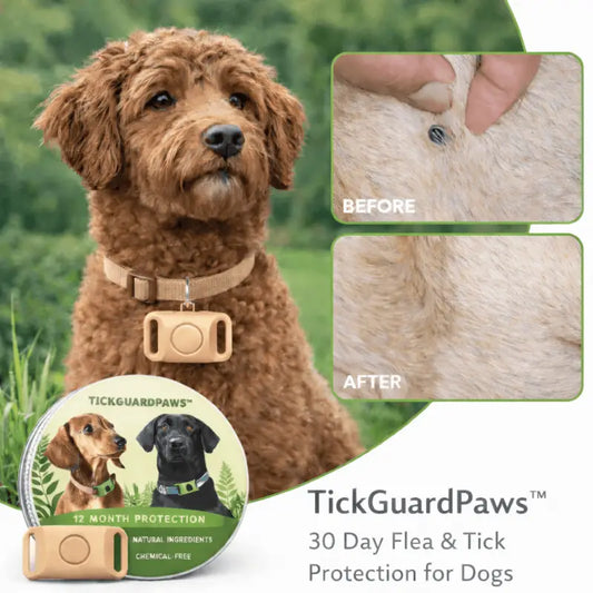 Tickguardpaws™ 30-days Chemical-free Tick & Flea Protection Pendant for Dogs - Dog Products at Hunter’s Doggy Shop Free