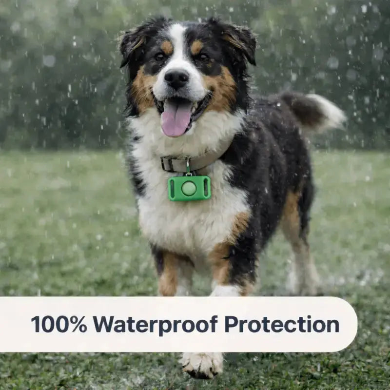 Tickguardpaws™ Refill Capsules - Dog Products at Hunter’s Doggy Shop Free Shipping Worldwide