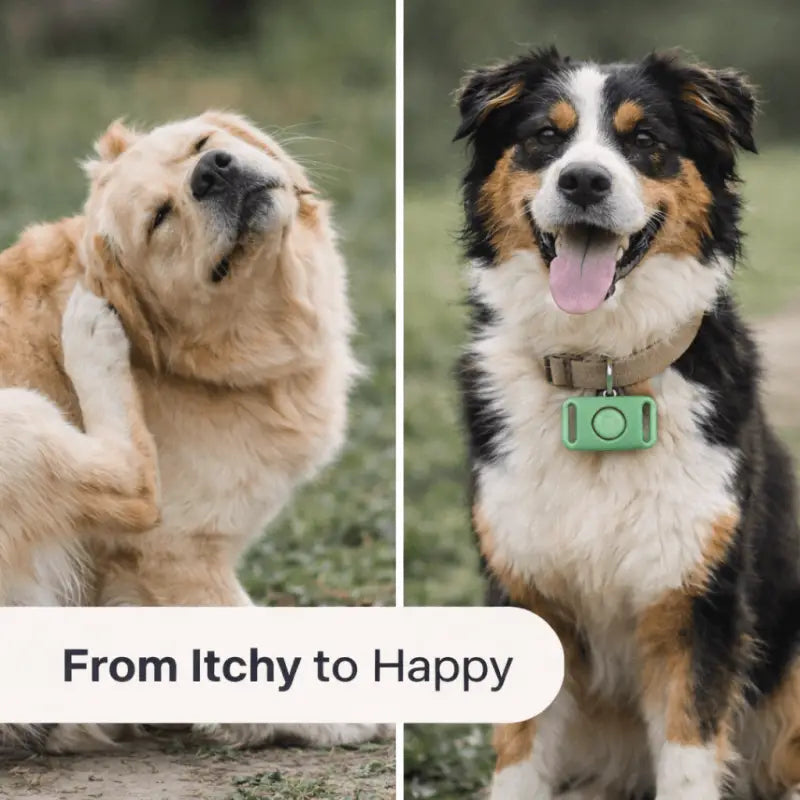 Tickguardpaws™ Refill Capsules - Dog Products at Hunter’s Doggy Shop Free Shipping Worldwide