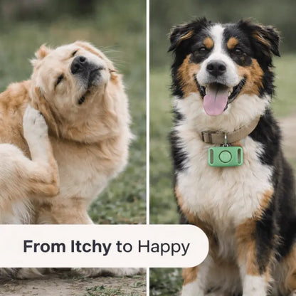 Tickguardpaws™ Refill Capsules - Dog Products at Hunter’s Doggy Shop Free Shipping Worldwide