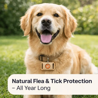 Tickguardpaws™ Refill Capsules - Dog Products at Hunter’s Doggy Shop Free Shipping Worldwide