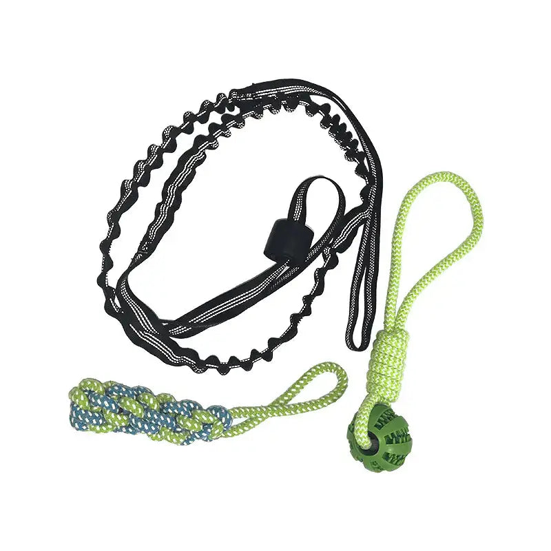 Tugpaws™ Bungee Rope for Dogs - Green - Dog Products at Hunter’s Doggy Shop Free Shipping Worldwide