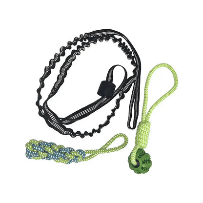 Tugpaws™ Bungee Rope for Dogs - Green - Dog Products at Hunter’s Doggy Shop Free Shipping Worldwide