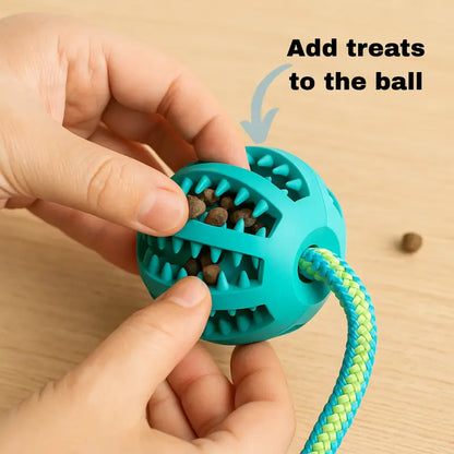 Puppyessentials™ Starter Pack - Dog Products at Hunter’s Doggy Shop Free Shipping Worldwide