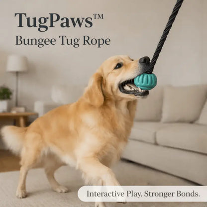 Tugpaws™ Bungee Rope for Dogs - Dog Products at Hunter’s Doggy Shop Free Shipping Worldwide