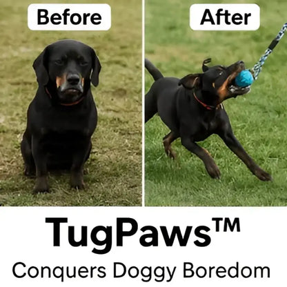 Tugpaws™ Bungee Rope for Dogs - Dog Products at Hunter’s Doggy Shop Free Shipping Worldwide