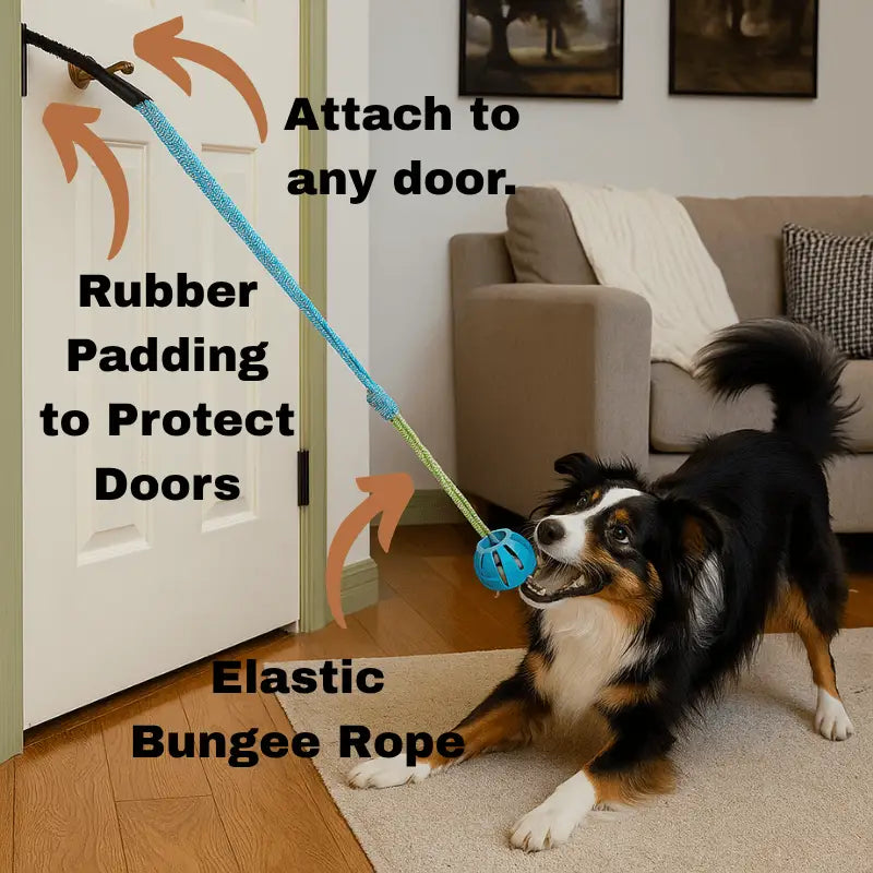 Puppyessentials™ Starter Pack - Dog Products at Hunter’s Doggy Shop Free Shipping Worldwide