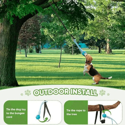 Tugpaws™ Bungee Rope for Dogs - Dog Products at Hunter’s Doggy Shop Free Shipping Worldwide