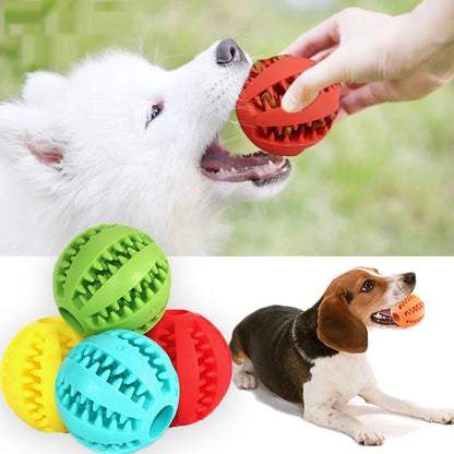 PawBite™ Dog Chew Toy