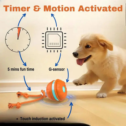 Anxiety Pet Care Bundle - Dog Products at Hunter’s Doggy Shop Free Shipping Worldwide