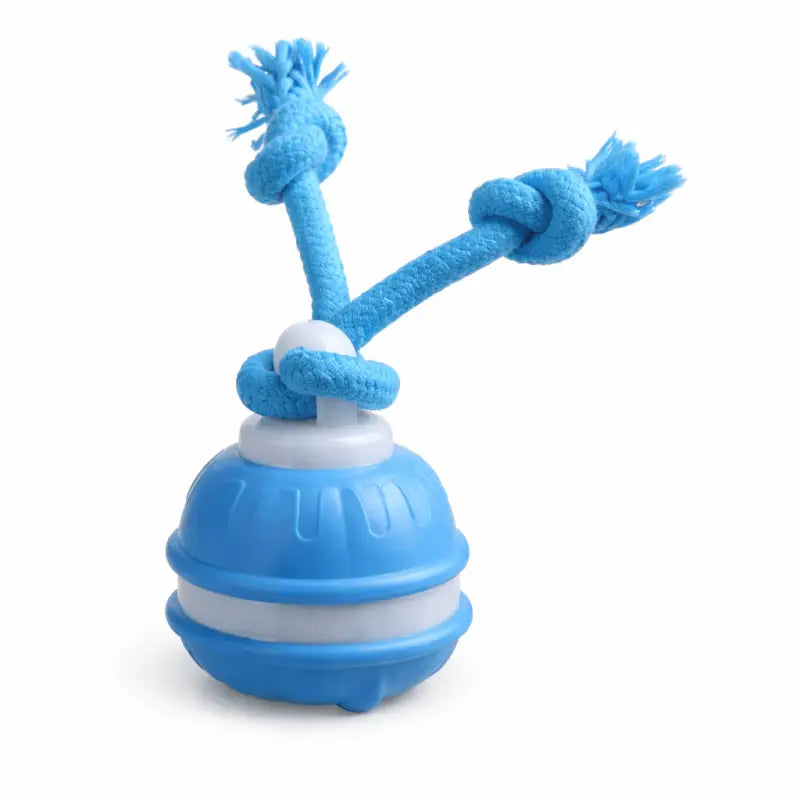 Zoomiball™ Toy for Active Dogs - Blue (1 Pack) Best Selling Dog Products and Pet Essentials Collection Free Shipping